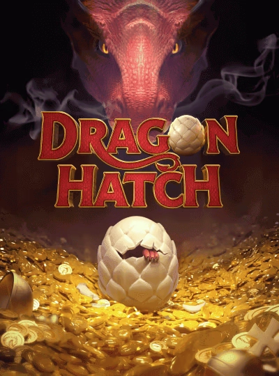 T20 match betting cover